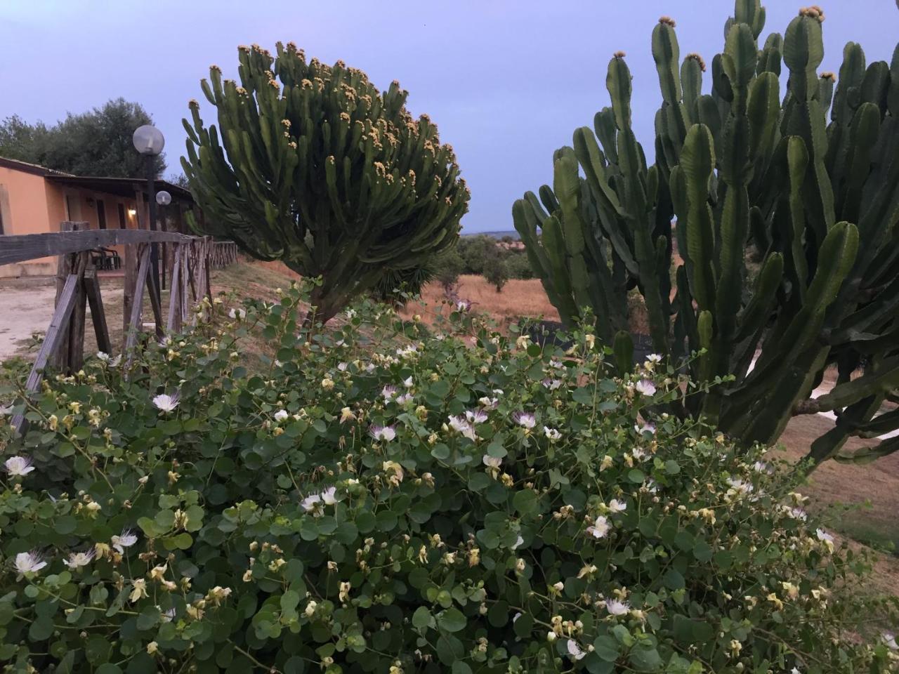 Agriturismo Saccollino San Paolo  Dış mekan fotoğraf
