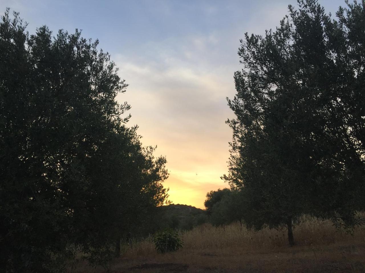 Agriturismo Saccollino San Paolo  Dış mekan fotoğraf