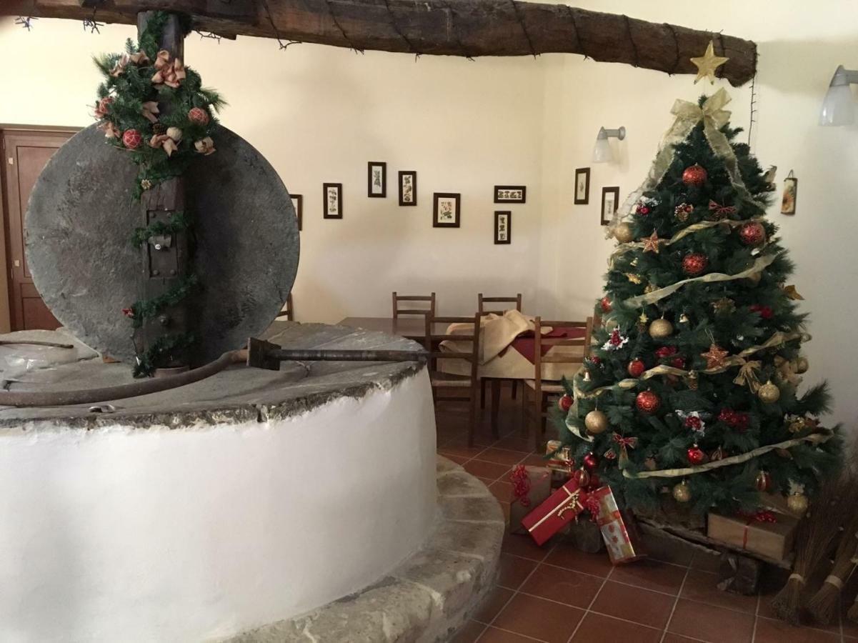 Agriturismo Saccollino San Paolo  Dış mekan fotoğraf