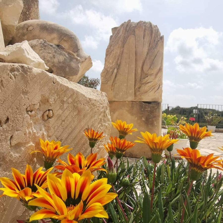 Agriturismo Saccollino San Paolo  Dış mekan fotoğraf